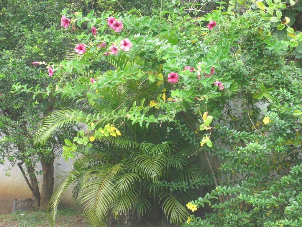 Ranith Villa Tangalle Exterior photo